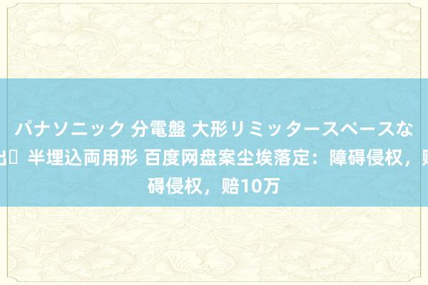 パナソニック 分電盤 大形リミッタースペースなし 露出・半埋込両用形 百度网盘案尘埃落定：障碍侵权，赔10万