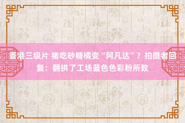 香港三级片 猪吃砂糖橘变“阿凡达”？拍摄者回复：翻拱了工场蓝色色彩粉所致