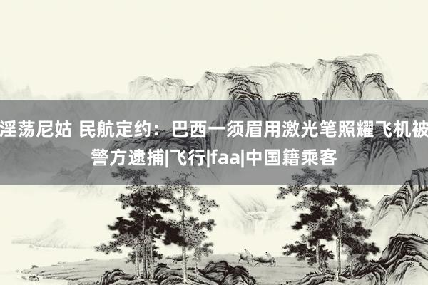 淫荡尼姑 民航定约：巴西一须眉用激光笔照耀飞机被警方逮捕|飞行|faa|中国籍乘客