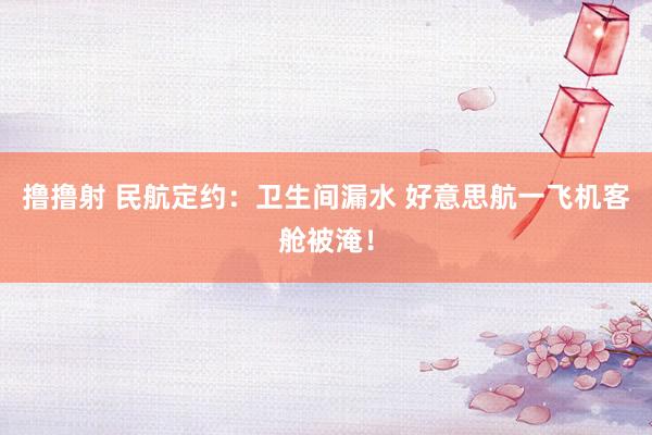 撸撸射 民航定约：卫生间漏水 好意思航一飞机客舱被淹！