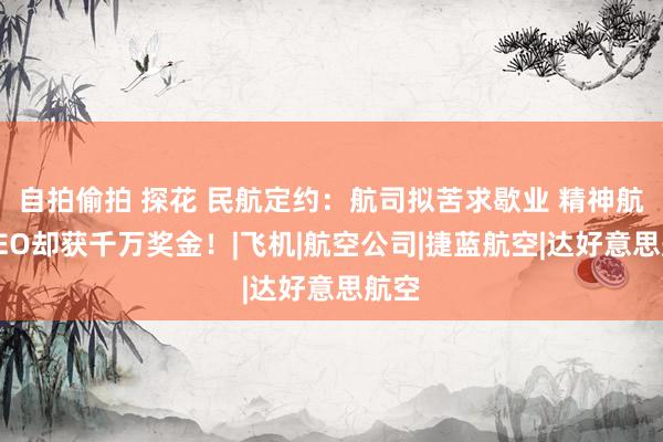 自拍偷拍 探花 民航定约：航司拟苦求歇业 精神航空CEO却获千万奖金！|飞机|航空公司|捷蓝航空|达好意思航空