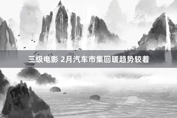 三级电影 2月汽车市集回暖趋势较着