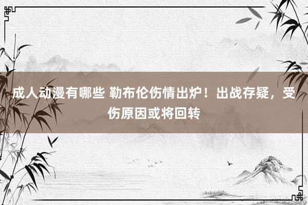 成人动漫有哪些 勒布伦伤情出炉！出战存疑，受伤原因或将回转