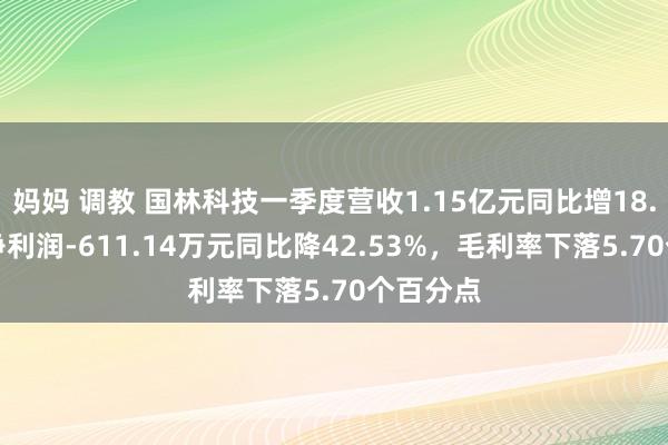 妈妈 调教 国林科技一季度营收1.15亿元同比增18.79%，净利润-611.14万元同比降42.53%，毛利率下落5.70个百分点