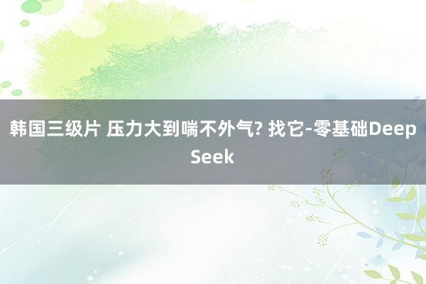 韩国三级片 压力大到喘不外气? 找它-零基础DeepSeek