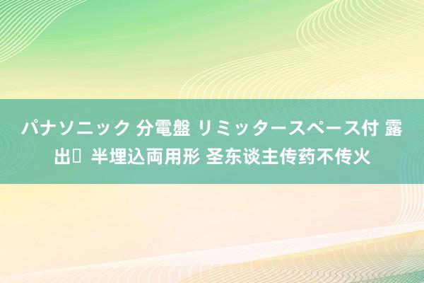 パナソニック 分電盤 リミッタースペース付 露出・半埋込両用形 圣东谈主传药不传火